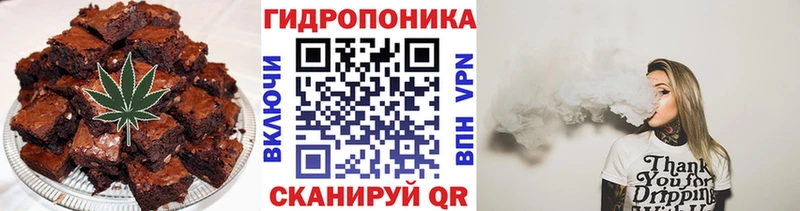 Cannafood конопля  blacksprut сайт  Жердевка 