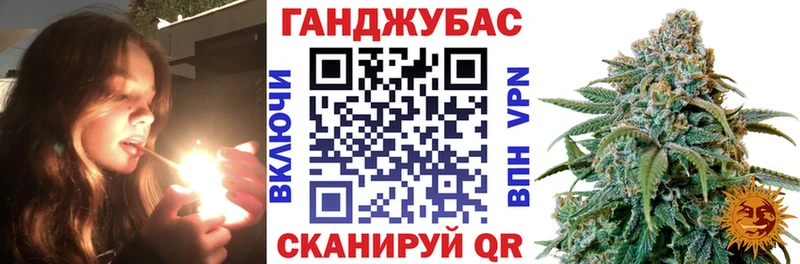 блэк спрут как зайти Жердевка Конопля White Widow